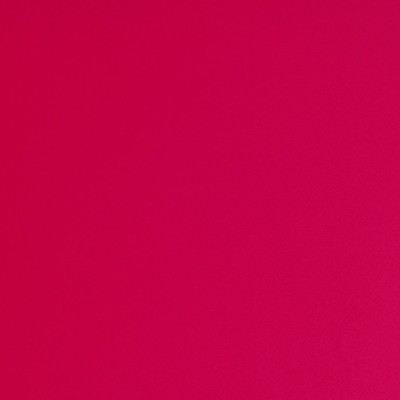 T5227 - Rose freesia 2